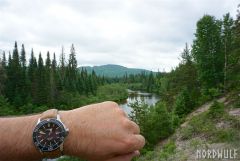 Chr. Ward C60 Vintage 43mm