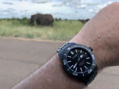 IMG_5081.jpeg
