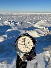IMG_2137.jpg