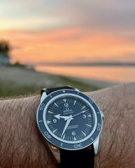 Omega Seamaster 300 Master Coaxial.jpeg