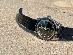 IMG_7033.jpeg