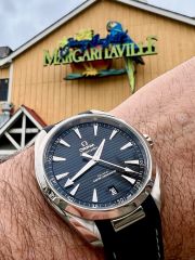 Omega Seamaster 8900 Aqua Terra